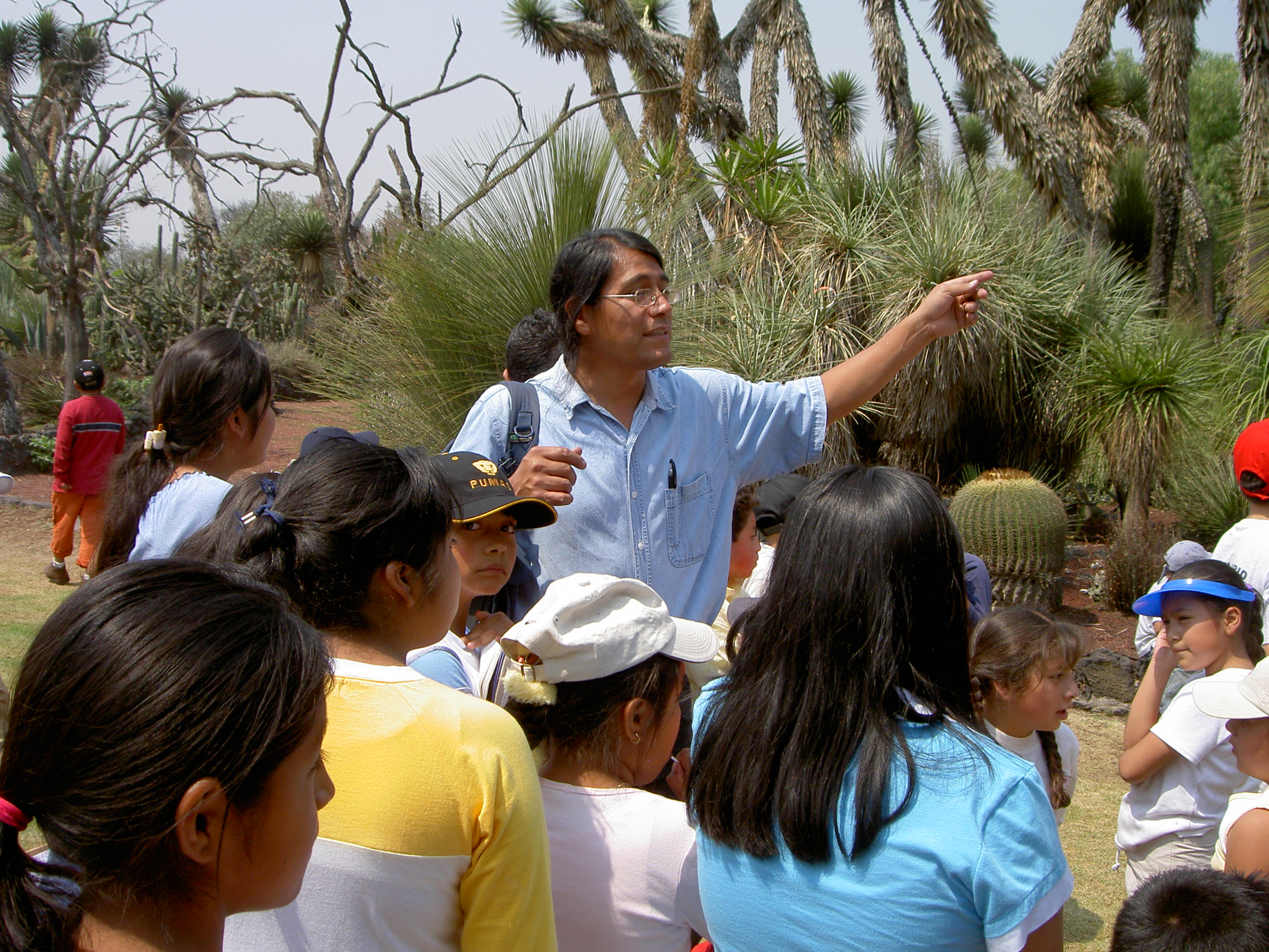 Proyecto cultural 2001