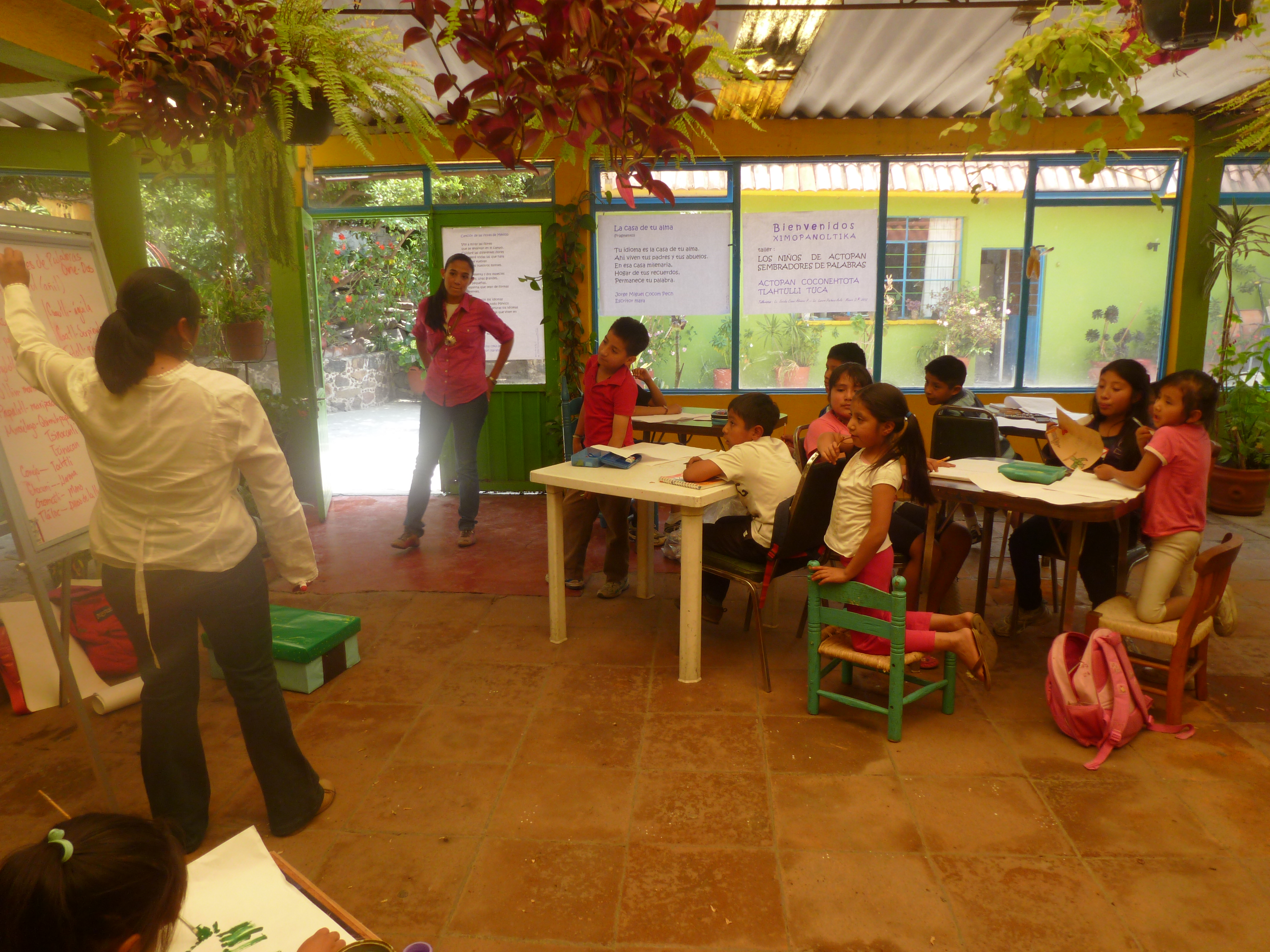 Proyecto cultural 2010