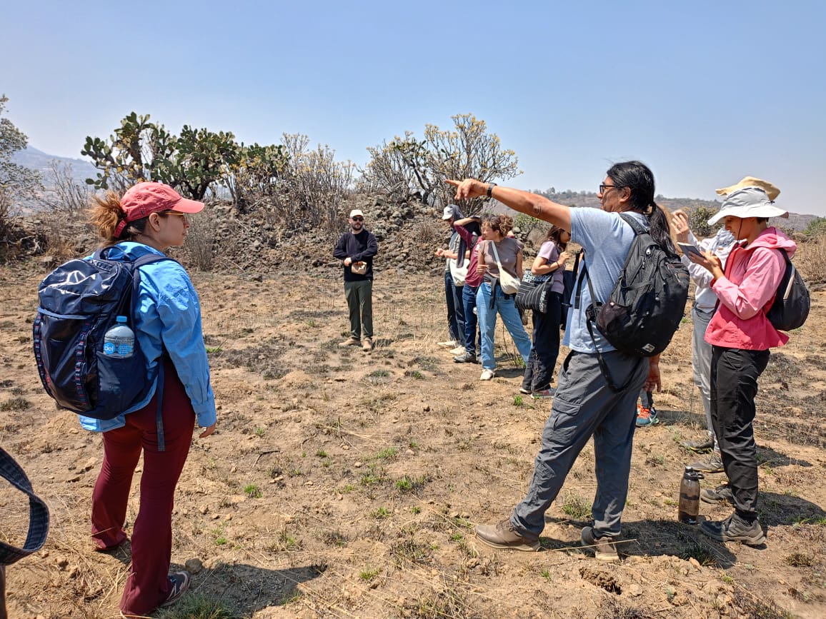 Proyecto cultural 2024