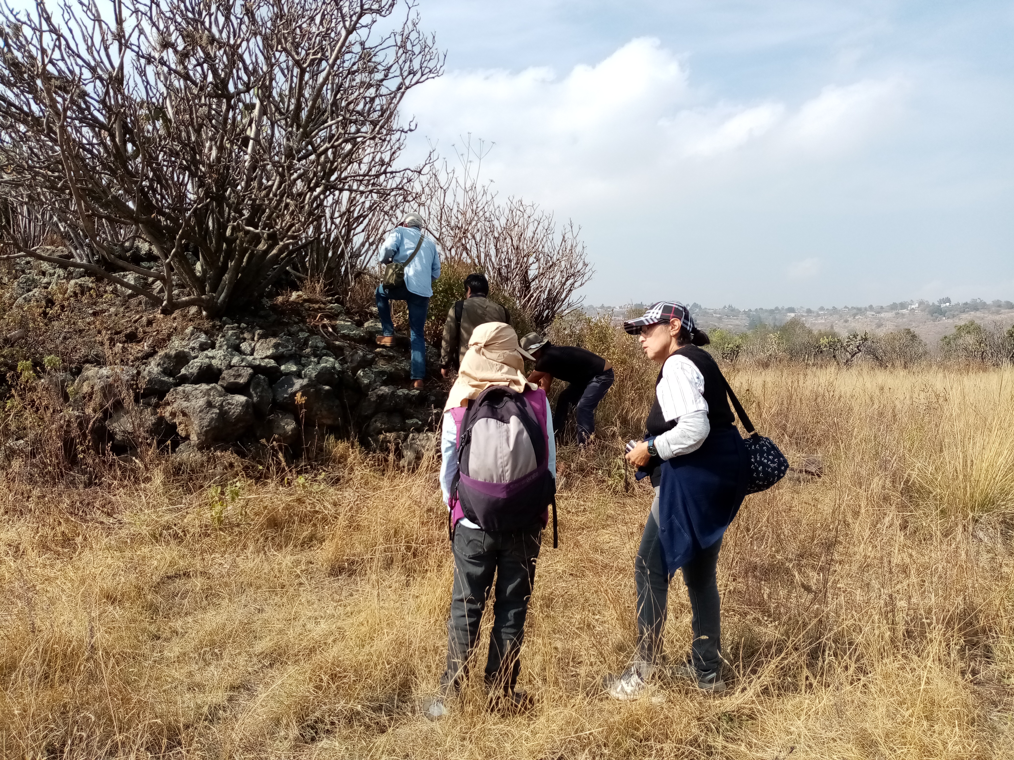 Imagen de arqueología 3