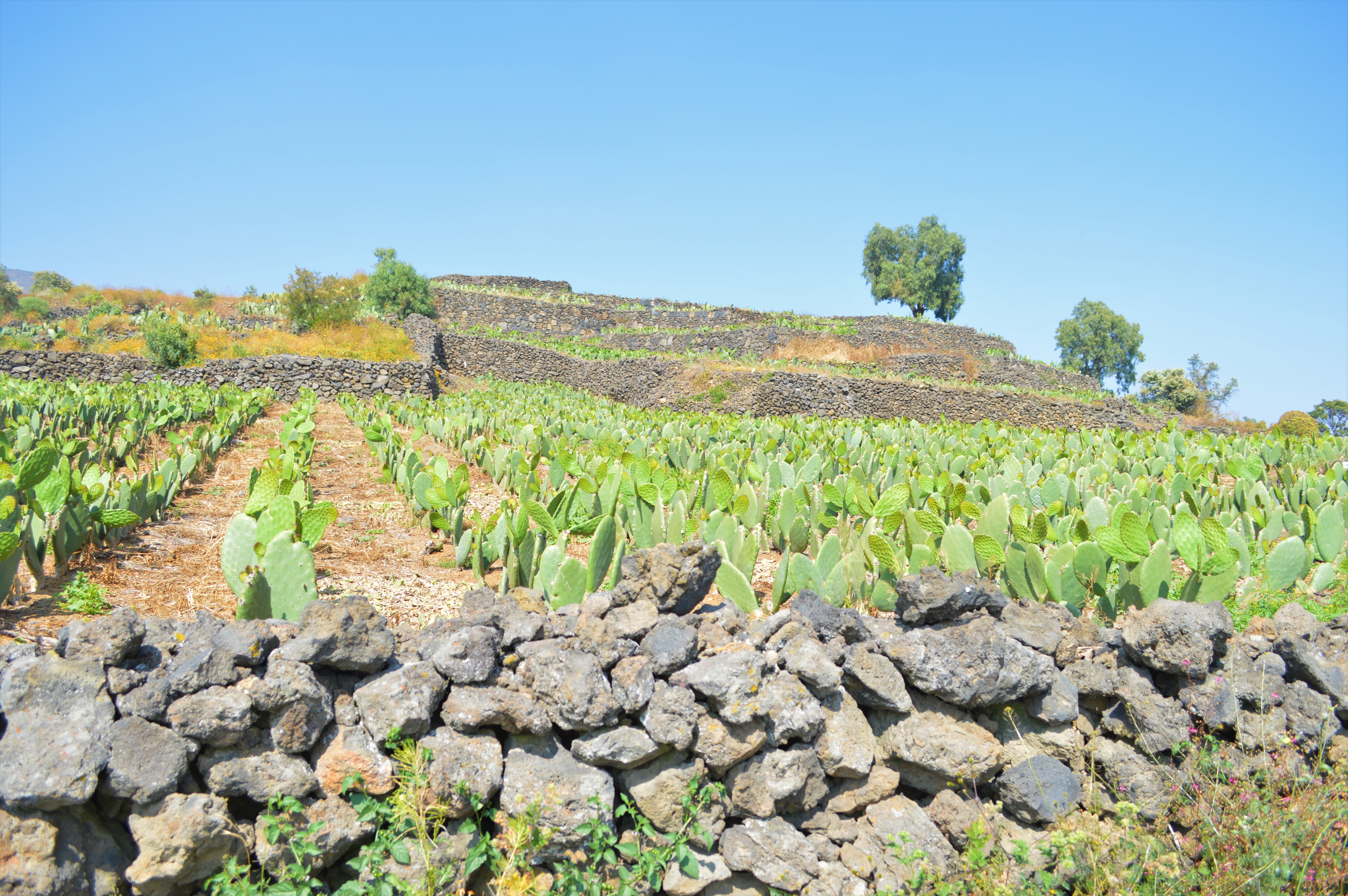 Arquitectura de piedra seca 2