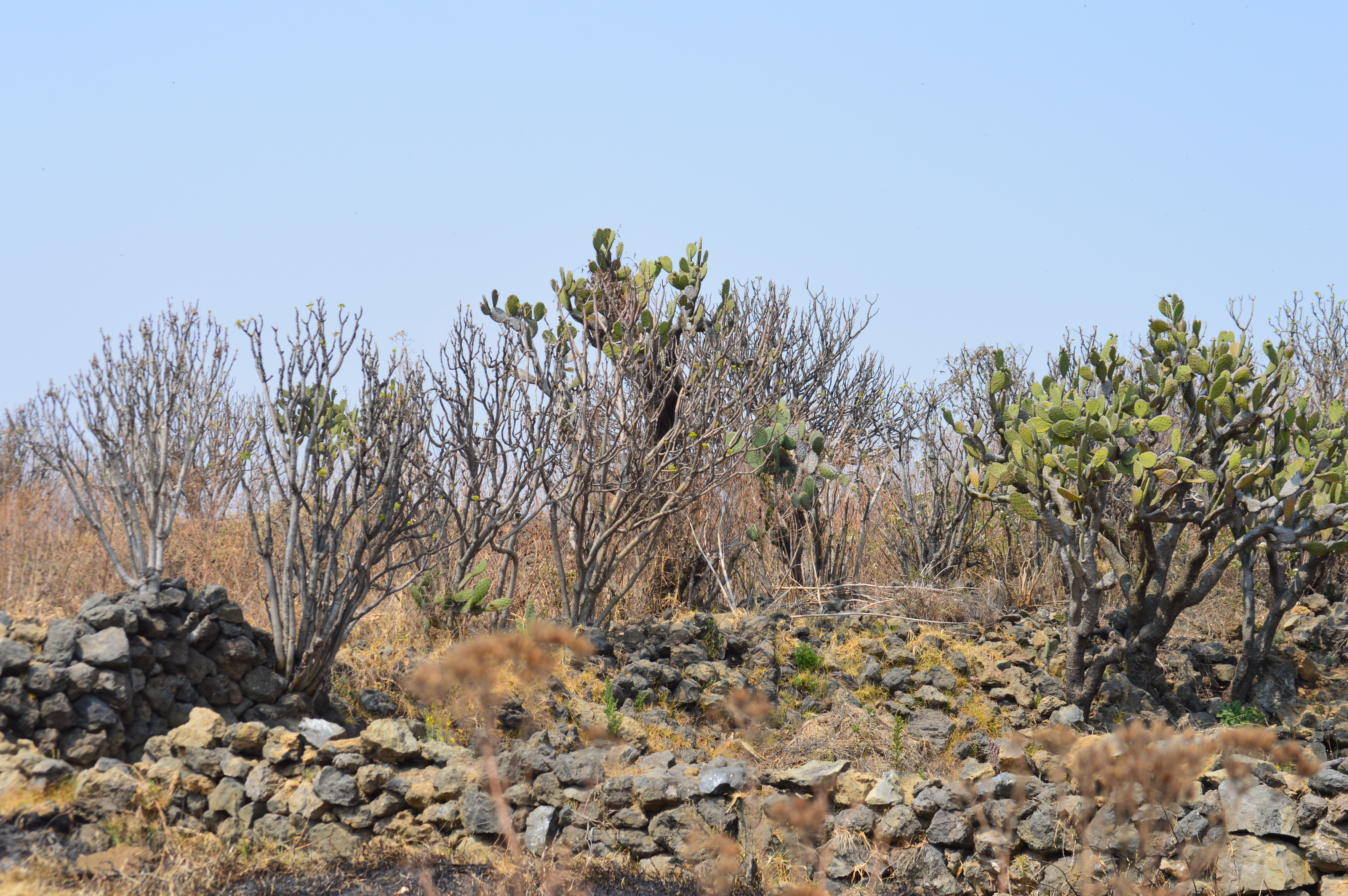 Arquitectura de piedra seca 3