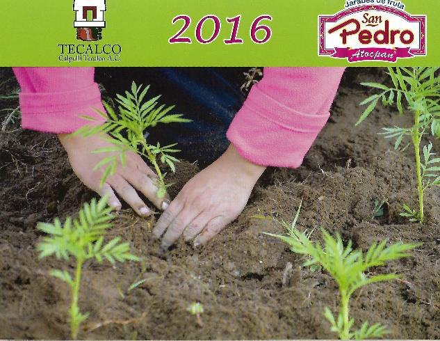 Calendario de Medicina Tradicional 2022