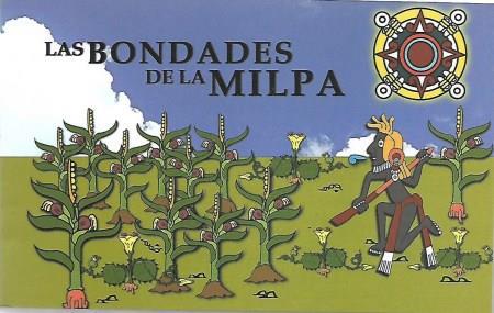 Plantas de terrazas agrícolas