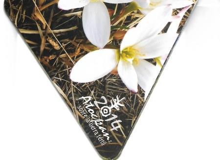 Cuaderno de Náhuatl