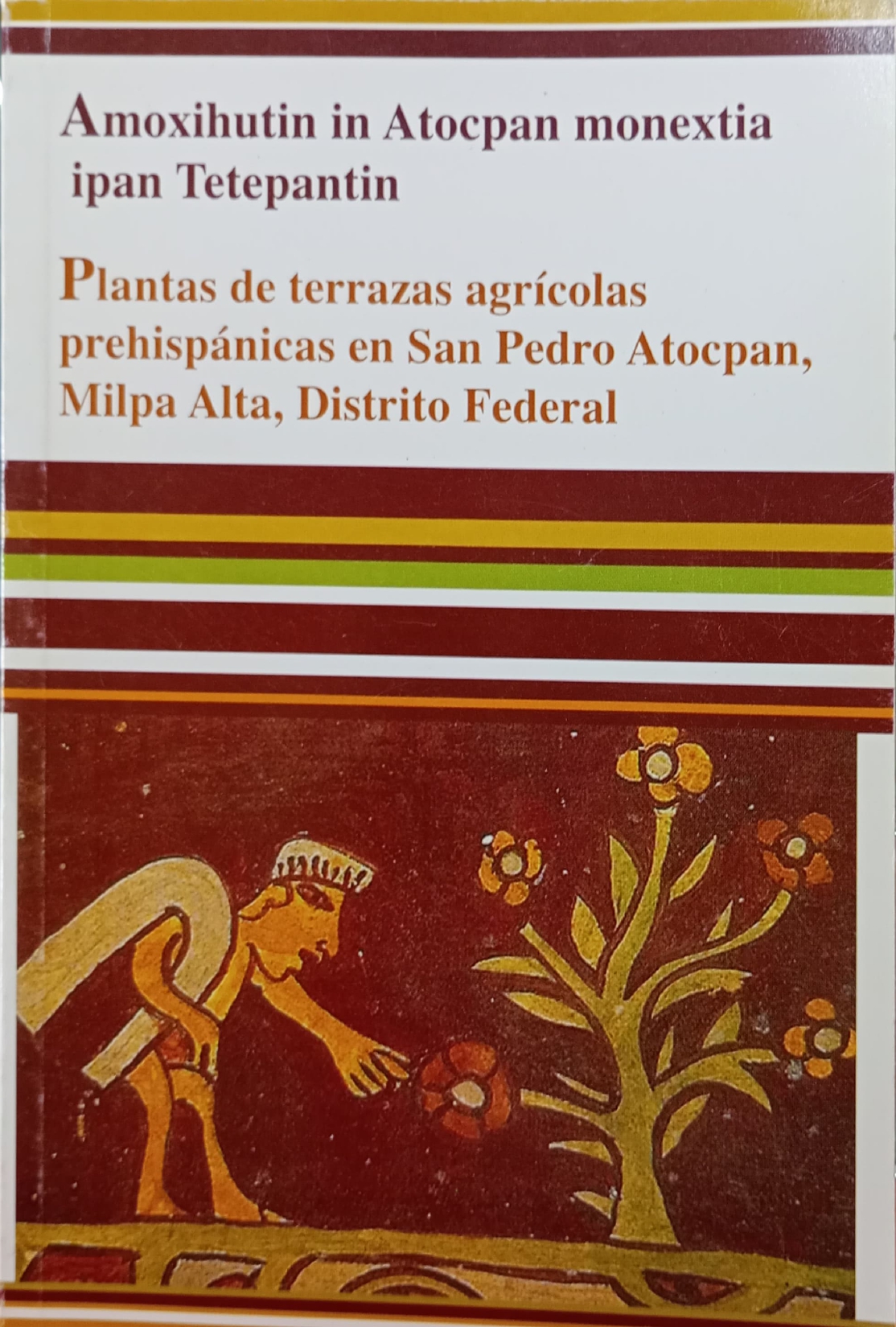 Plantas de terrazas agrícolas